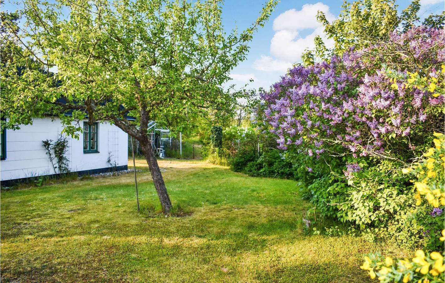 Foto 10 von 20: Ferienhaus für 5 Personen mit Garten