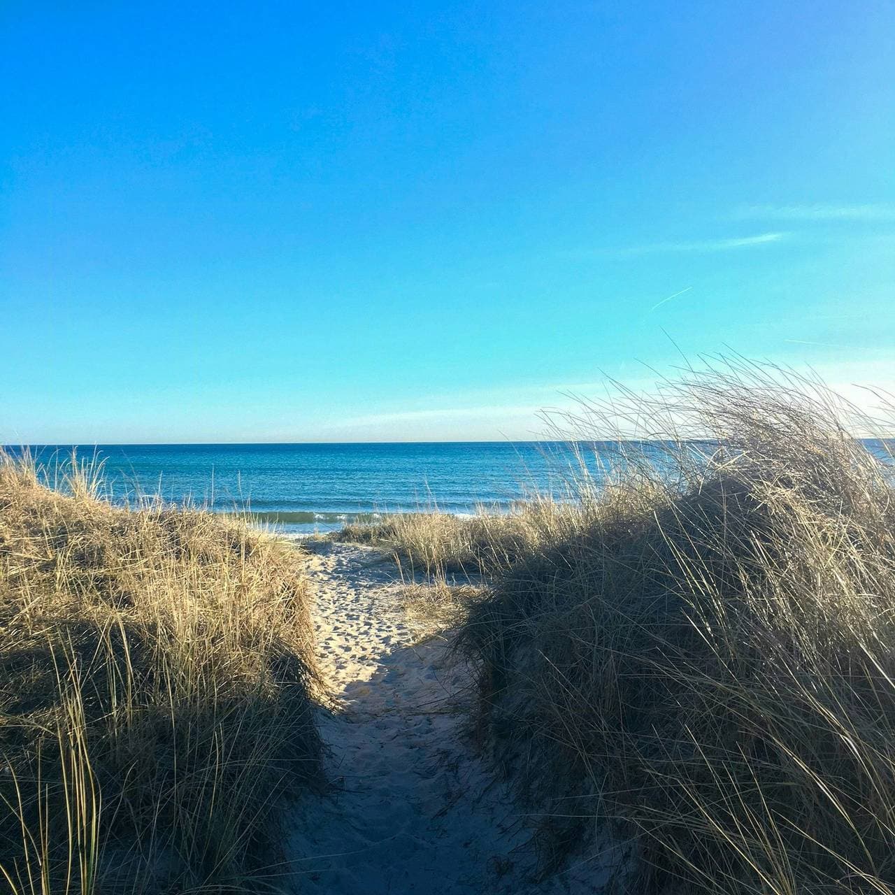 Foto 2 von 21: Haus 100 Meter vom Meer entfernt in Beddingestrand