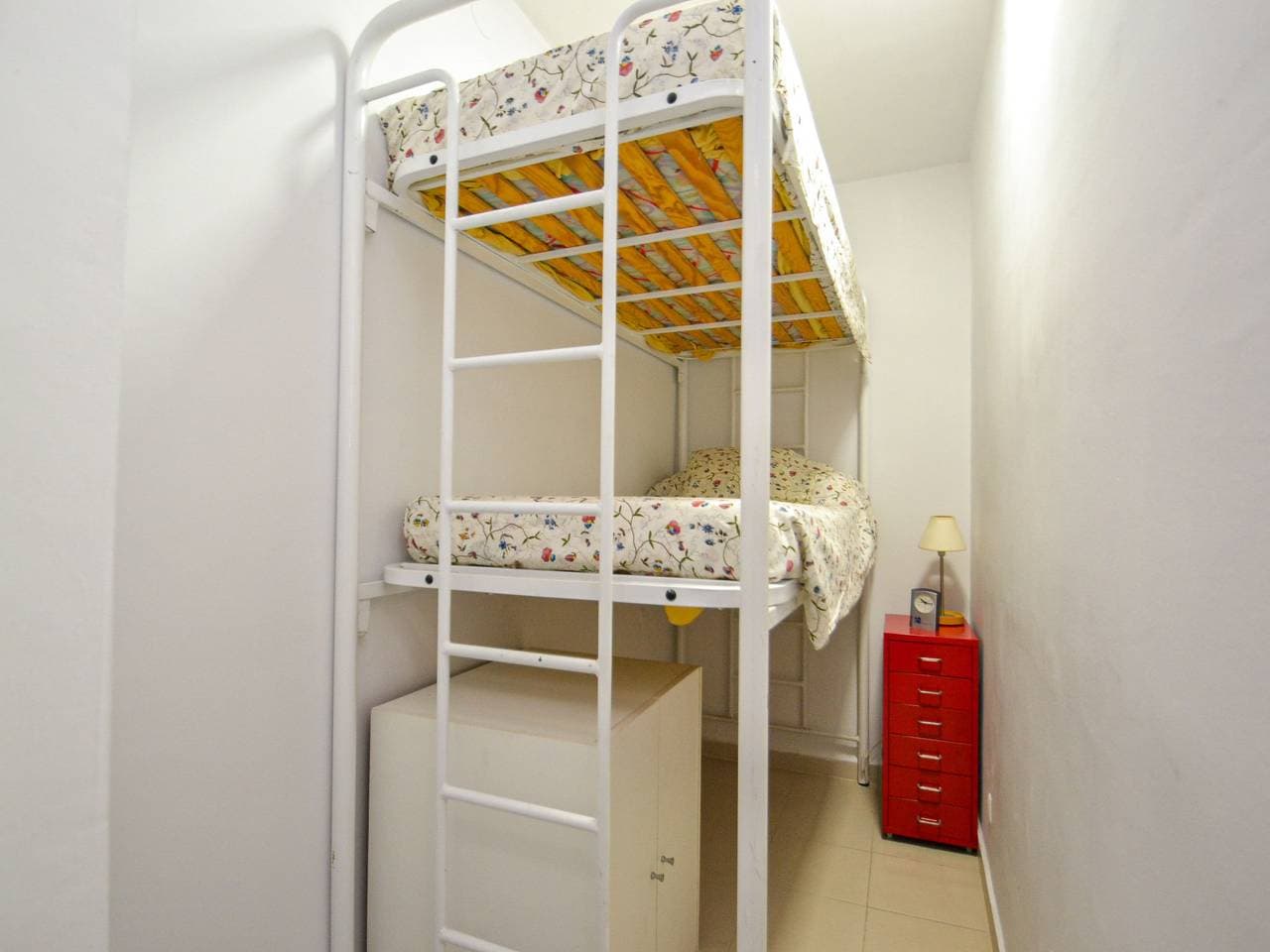 Foto 13 von 24: Nautilus