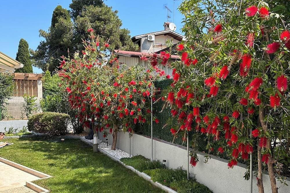 Foto 9 von 30: Rovinj - Borik, schöne Fe-Wo Lea für 2-4 Personen mit Garten - 5 min. vom Strand