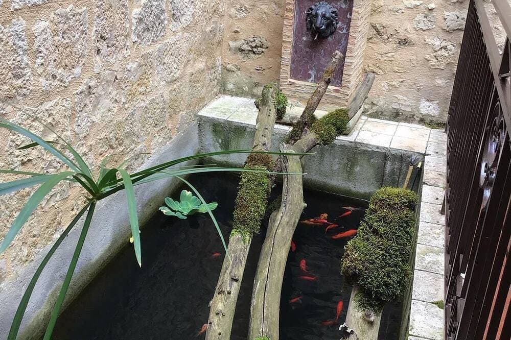 Foto 11 von 24: Schöne Renovierung einer Scheune im mittelalterlichen Dorf Lavardens (Gers)