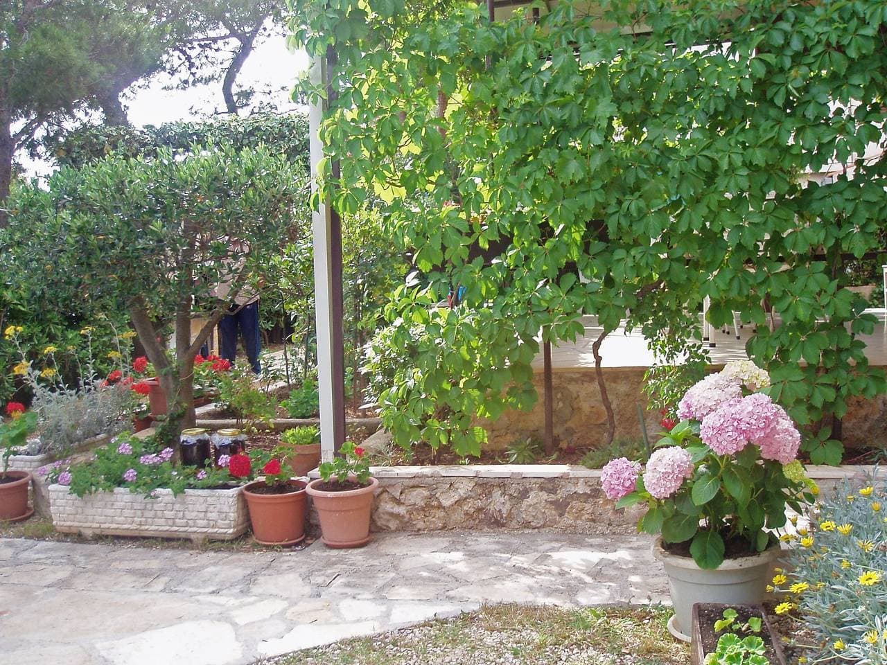 Foto 11 von 27: 1-Zimmer-Ferienwohnung mit Balkon und Meerblick Nemira, Omis A-5884-c