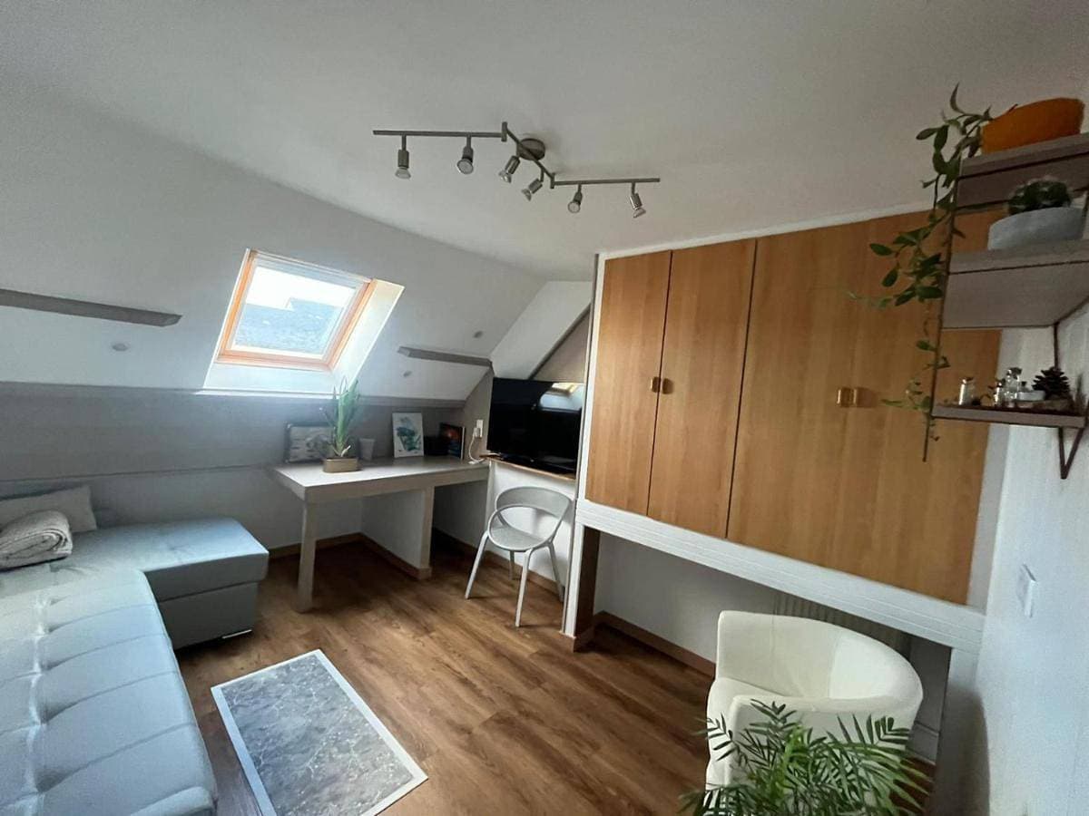Appartement type loft avec terrasse 1