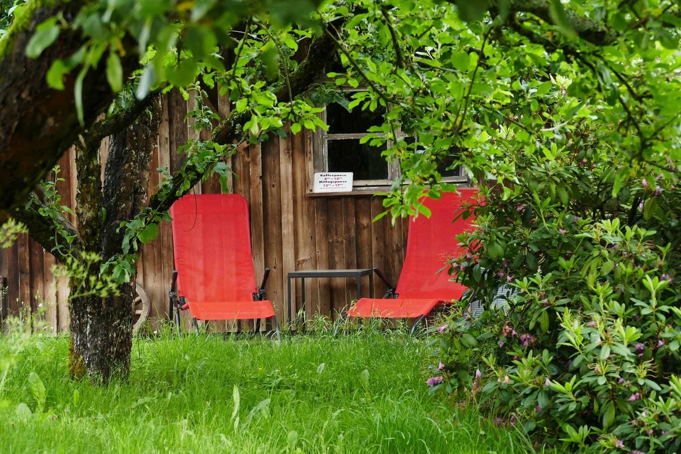 Foto 2 von 27: Ferienhaus Betty - Ruhige Ferienwohnung mit Ausblick, besonders geeignet für Hundebesitzer und Familien