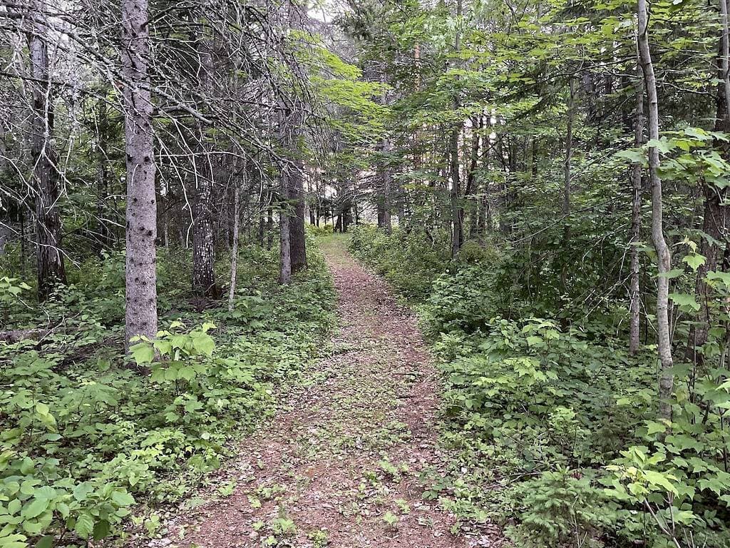 Foto 10 von 39: Lakefront Cabin/Hot Tub/Dock Lake Access/Ski Sugarloaf Mountain12mi/Trail Access