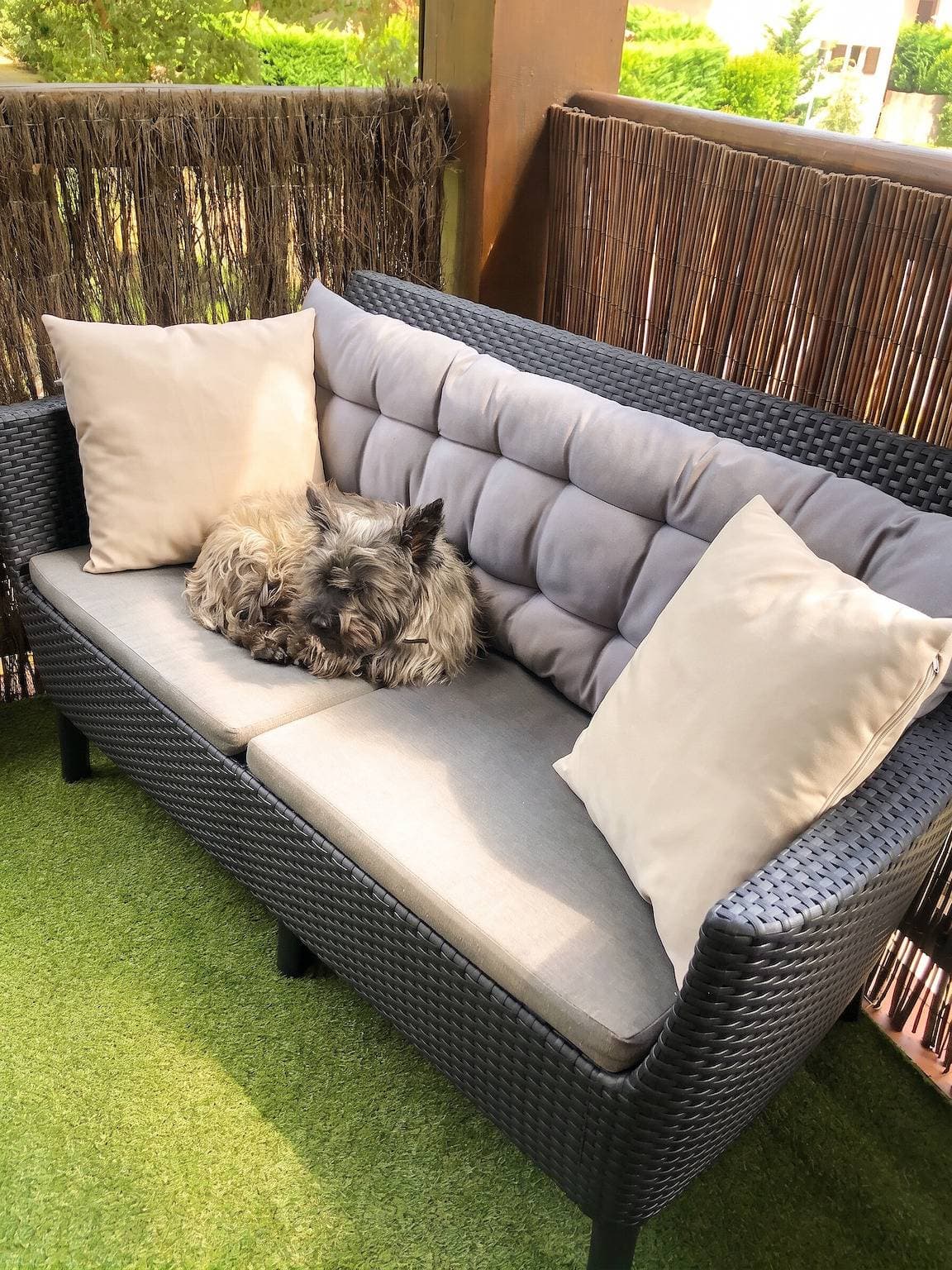 Foto 7 von 46: Charmante Wohnung in Saint-Julien 40 m² mit Gartenblick