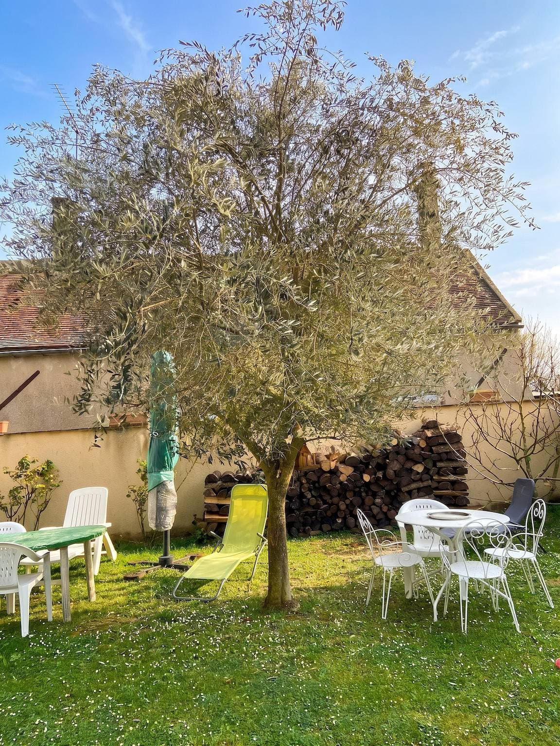 Foto 11 von 16: Charmantes Studio mit Terrasse in Chenou auf 20 m²