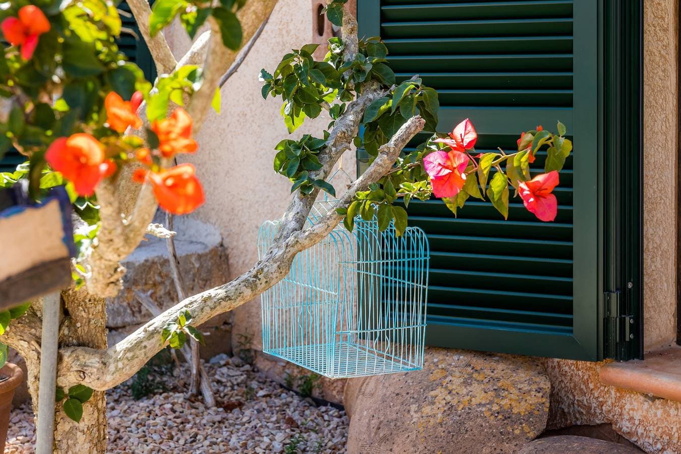 Foto 10 von 25: Großes Adults-Only-Apartment Mallorca mit Gemeinschaftspool und WLAN