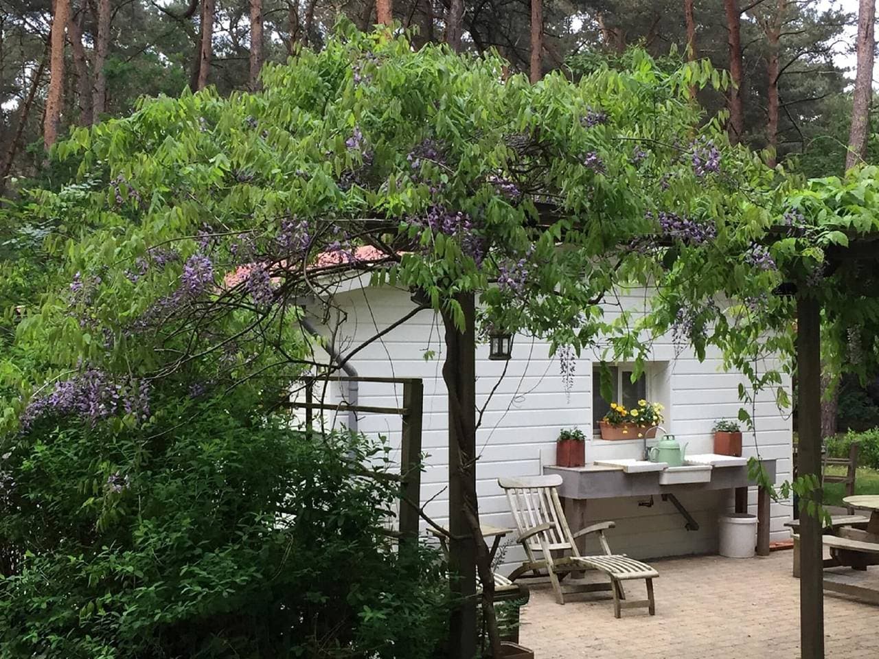 Foto 10 von 40: Gierle Garden Bungalow Escape