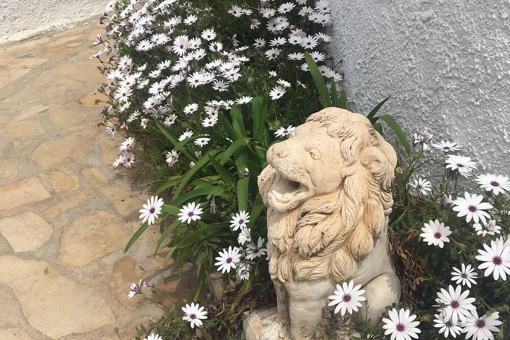 Foto 5 von 30: Charming  House with  spaciousGarden and Terrace