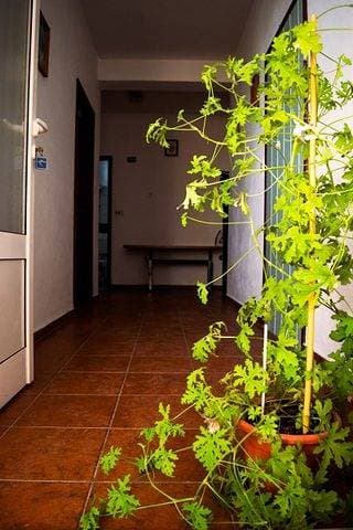 Foto 12 von 36: Ferienwohnung in Seline mit Meerblick, W-Lan, Waschmaschine (4209-1)
