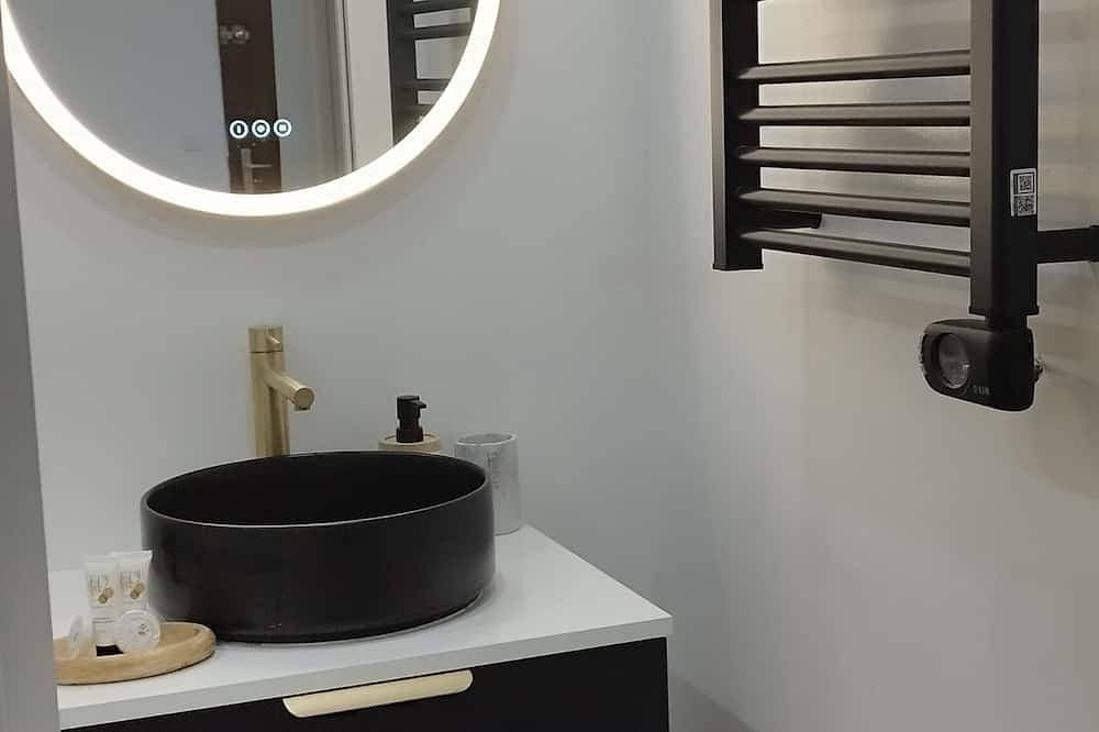 Apartment for Rent Near Parc Astérix and Cdg 1