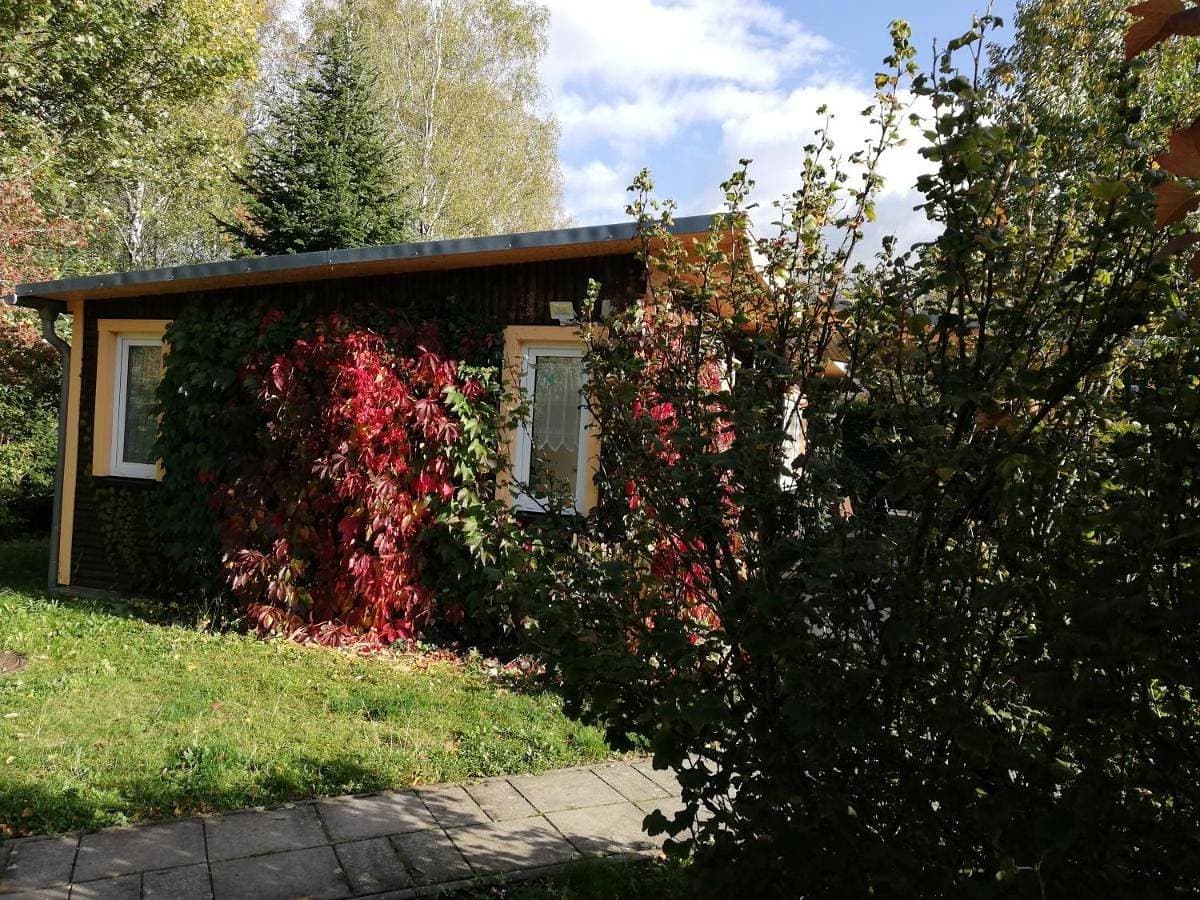 Ferienhaus Waldglück 1