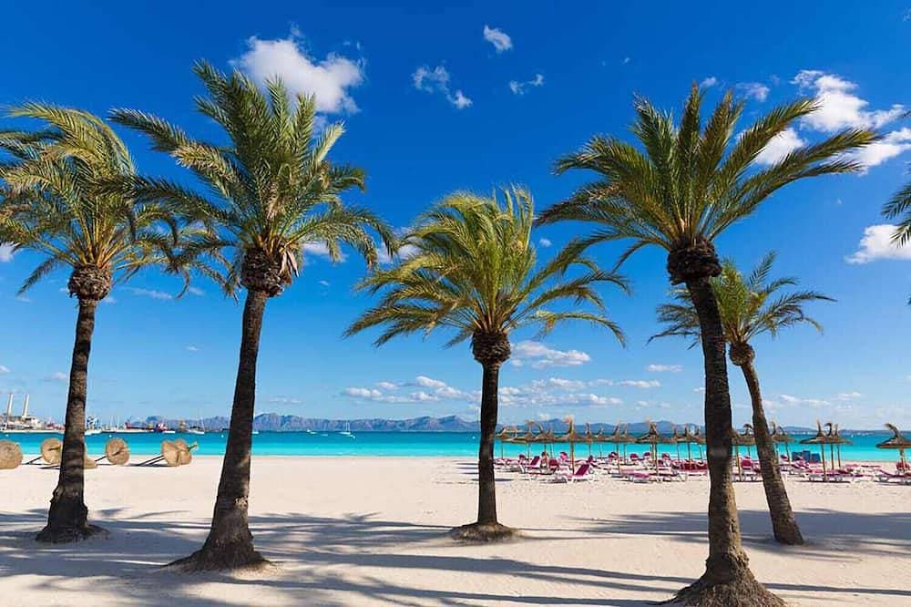 Foto 12 von 24: Gemütliche Ferienwohnung mit Pool 100 Meter vom Strand von Puerto Alcudia