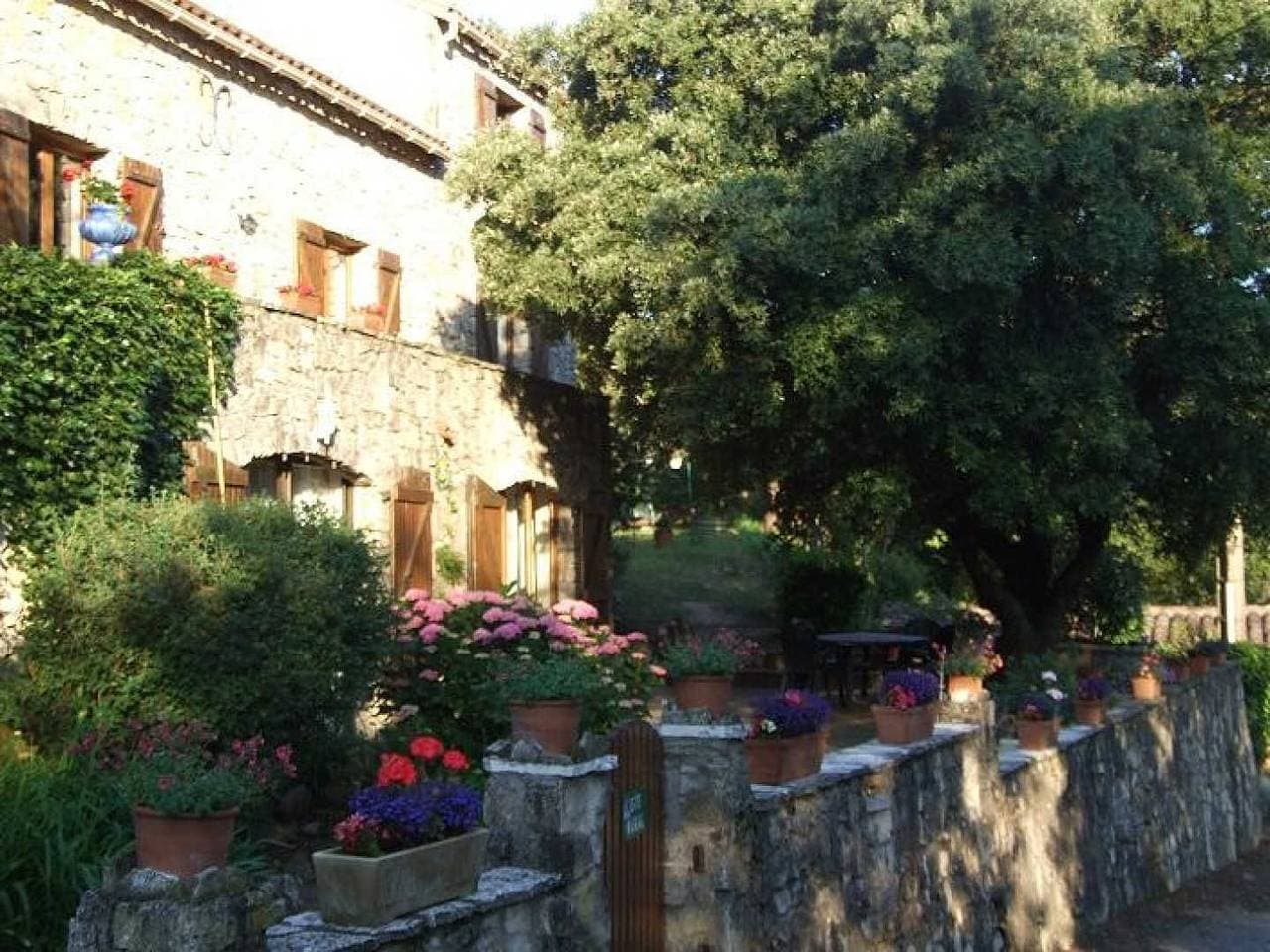 Foto 4 von 10: Le chêne vert 2