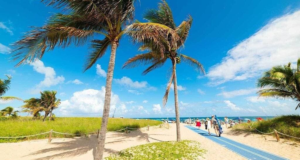 Foto 7 von 24: 2 Bedroom Lovely, Bright & Comfy Walk to Beach - Private, Yard, Parking
