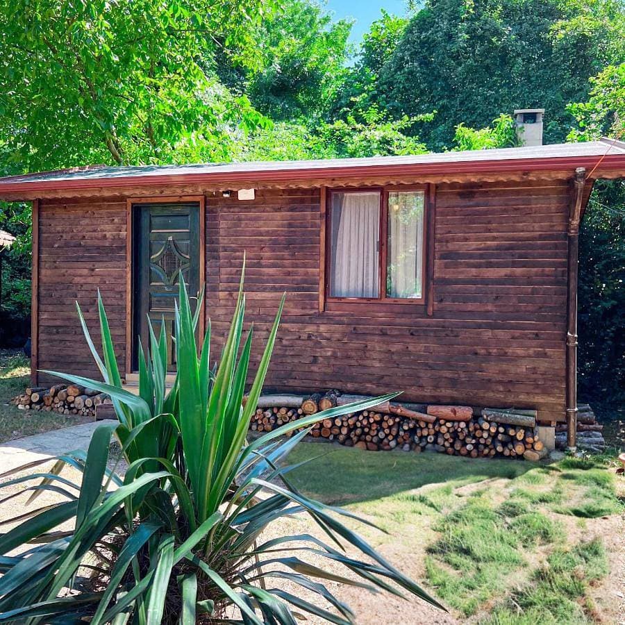 Foto 3 von 9: Standard Bungalow