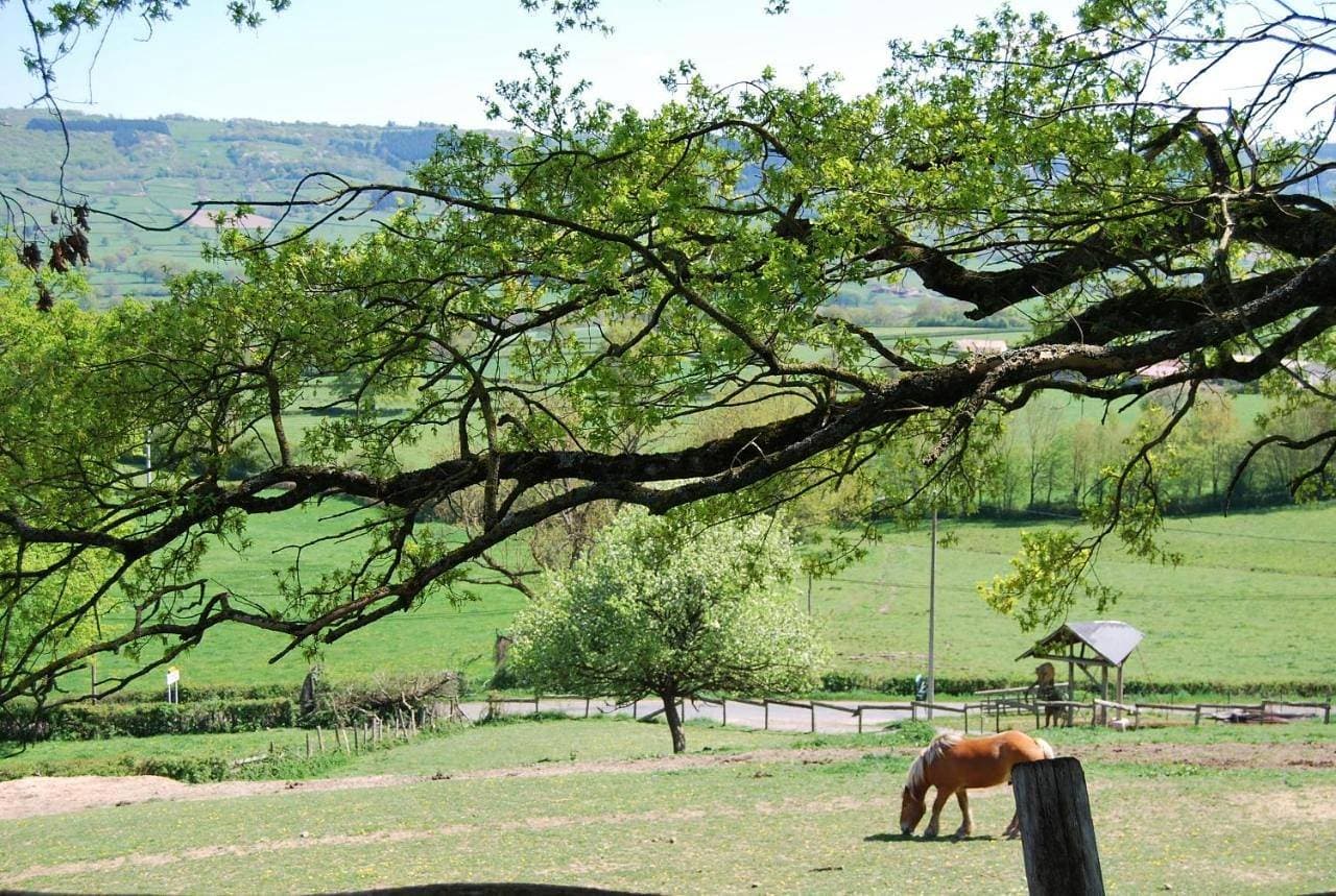 Village.insolite 1