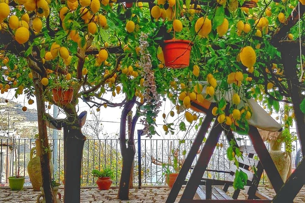 Limoneto di Lulù, Urlaub unter den Zitronen! 1