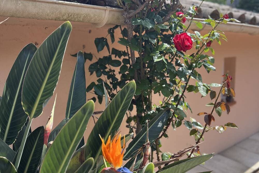Foto 11 von 30: Cosy accommodation, walking distance to the beach, sea-view patio.