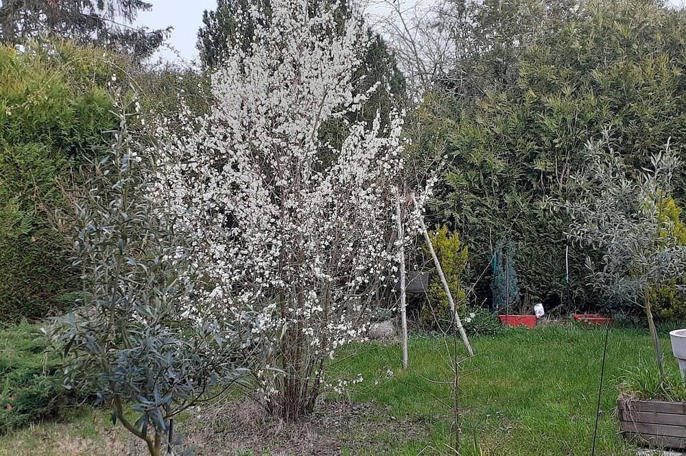 Foto 12 von 30: Meublé de tourisme classé 3* 35 m2 + terrasse. 2 pers, countryside Vexin FRANçAIS