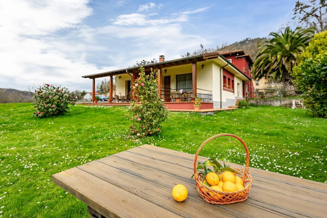 Apartamentos Les Cuartes 1