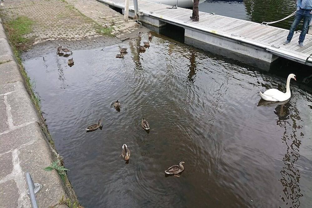 Foto 10 von 11: Quiet neighborhood on the marina and