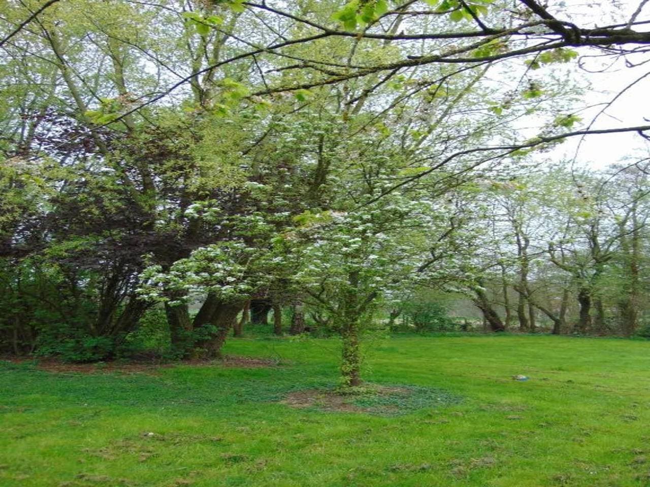 Foto 11 von 41: Chalet in der Nähe des Campingplatzes Antwerpen