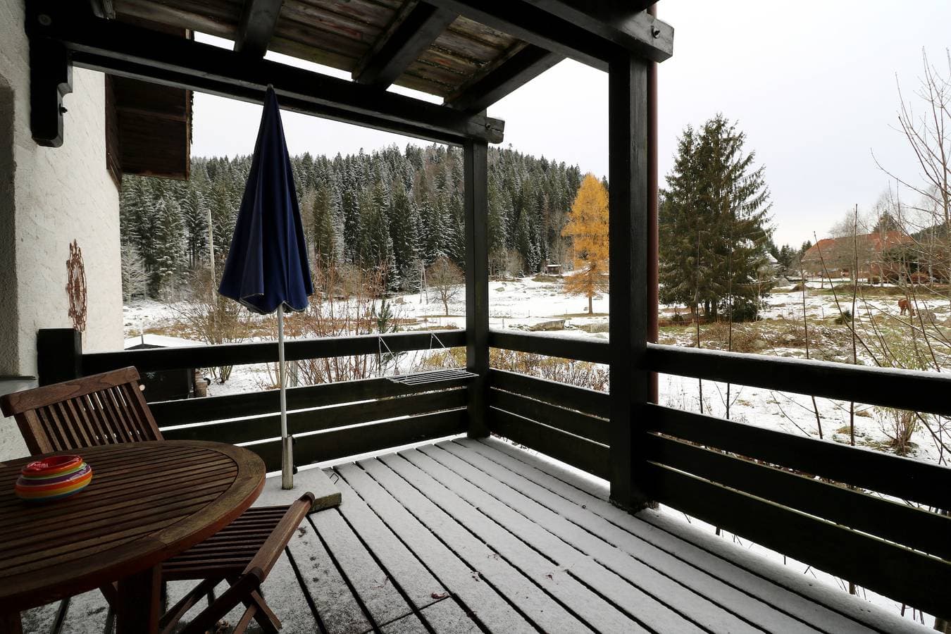 Foto 12 von 29: Gästehaus Seewald- Ferienwohnung 4 "Lärche", Schluchsee, Blasiwald