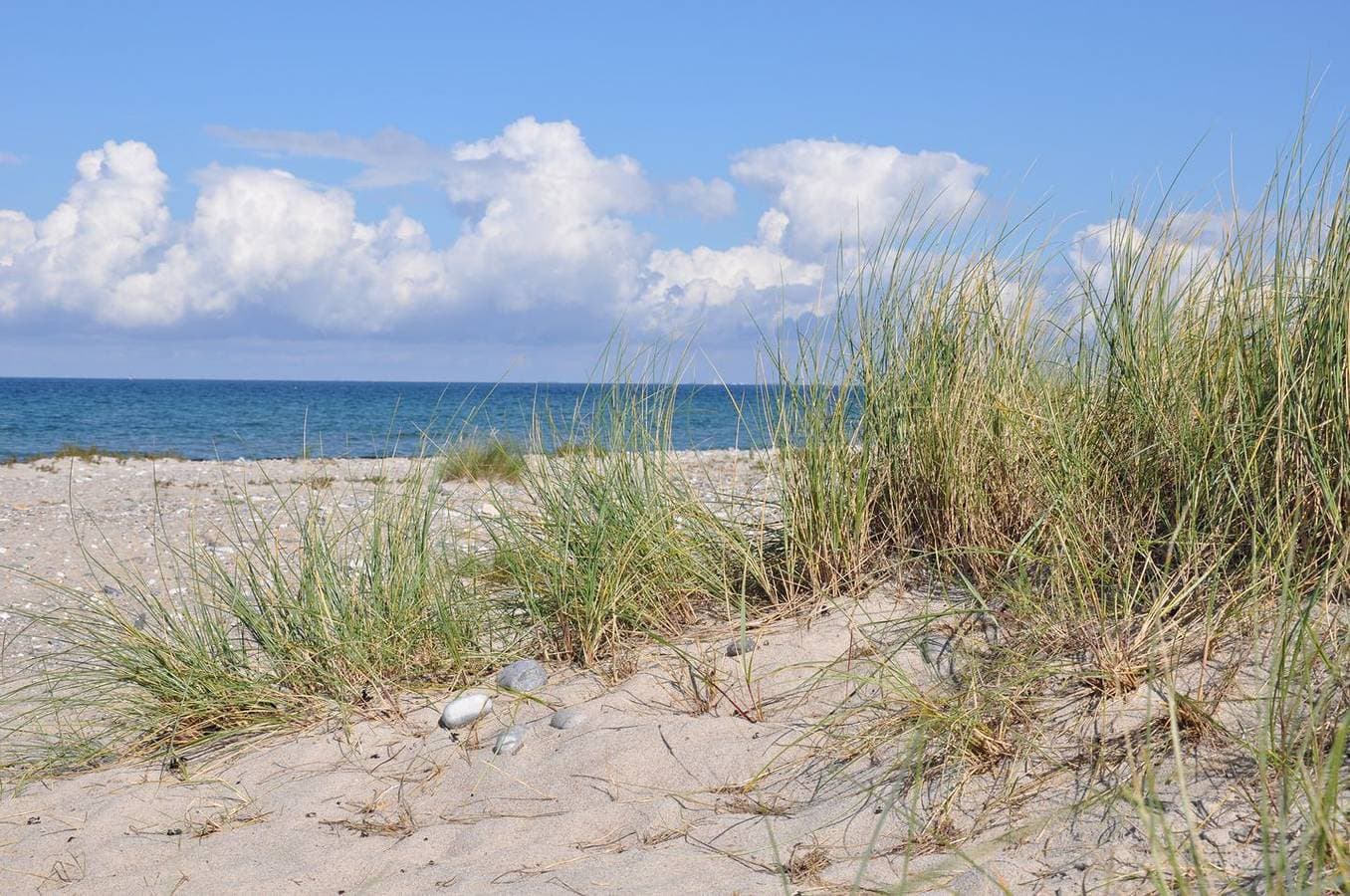 Foto 13 von 16: 1-Zimmer-Ferienwohnung "Haven Stuuv" am Südstrand Burgtiefe mit Yachthafenblick