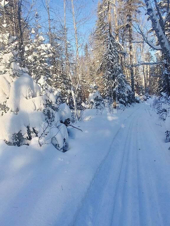 Foto 2 von 30: White Pine Retreat - Neu - Wilderness Escape im Superior National Forest