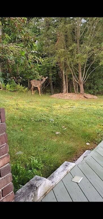 Foto 10 von 13: Bright sunny B&B overlooking Bedford Basin
