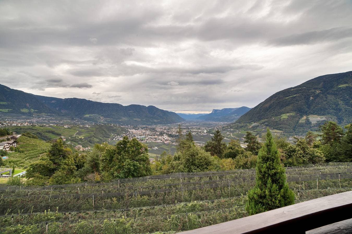 Foto 11 von 22: Ferienwohnung 'Oberötzbauer Enzian' mit Bergblick, Gemeinschaftsgarten und WLAN