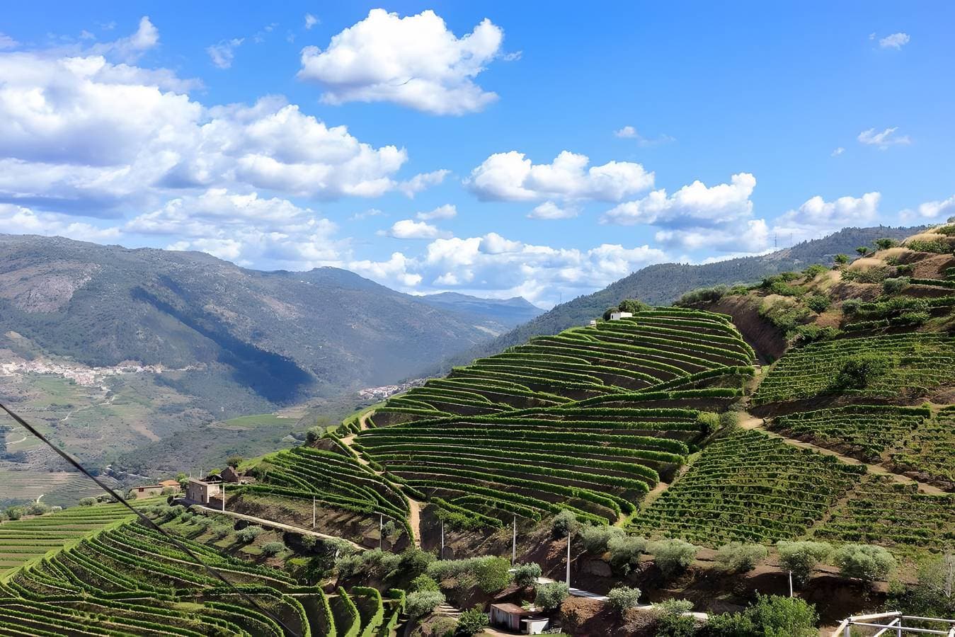 Foto 6 von 28: Casa da Quelha – Douro: Charmantes, gemütliches Refugium
