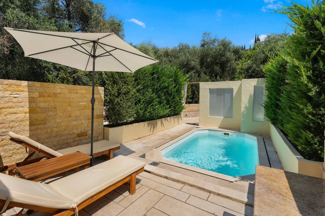 Doliva Studio Erietta private pool 1