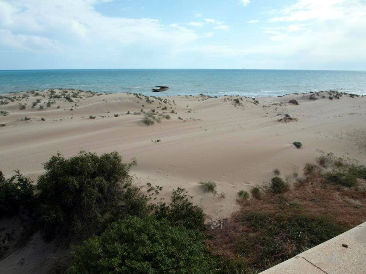 Sul mare e sotto le stelle di Roccazzelle-Manfria 1