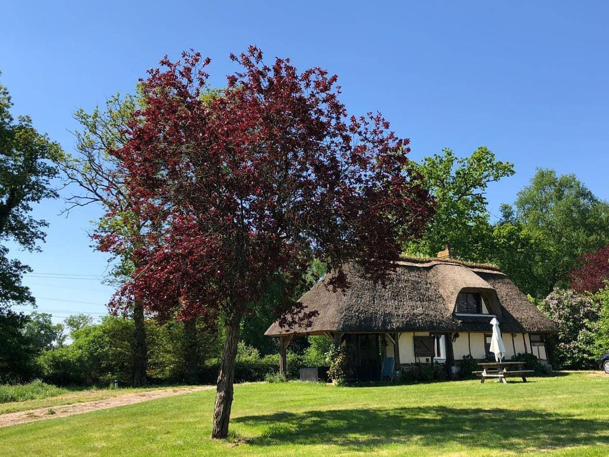 Foto 5 von 43: Four-Bedroom House