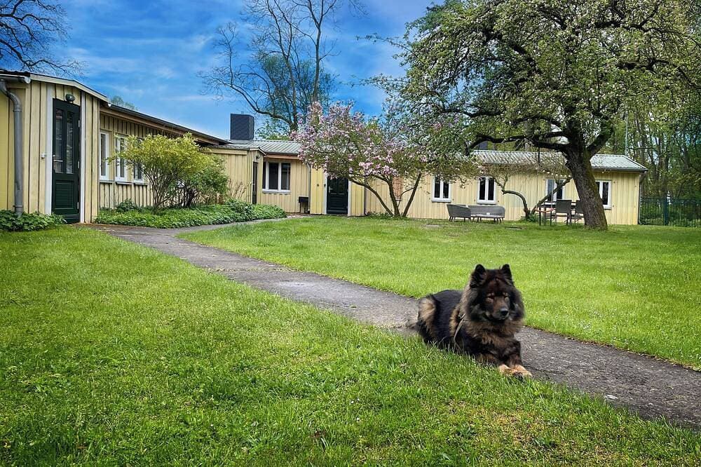 Foto 8 von 12: Idyllische Lage - Ferienhaus für Familien mit Hund 1 Std. vor Berlin am See.