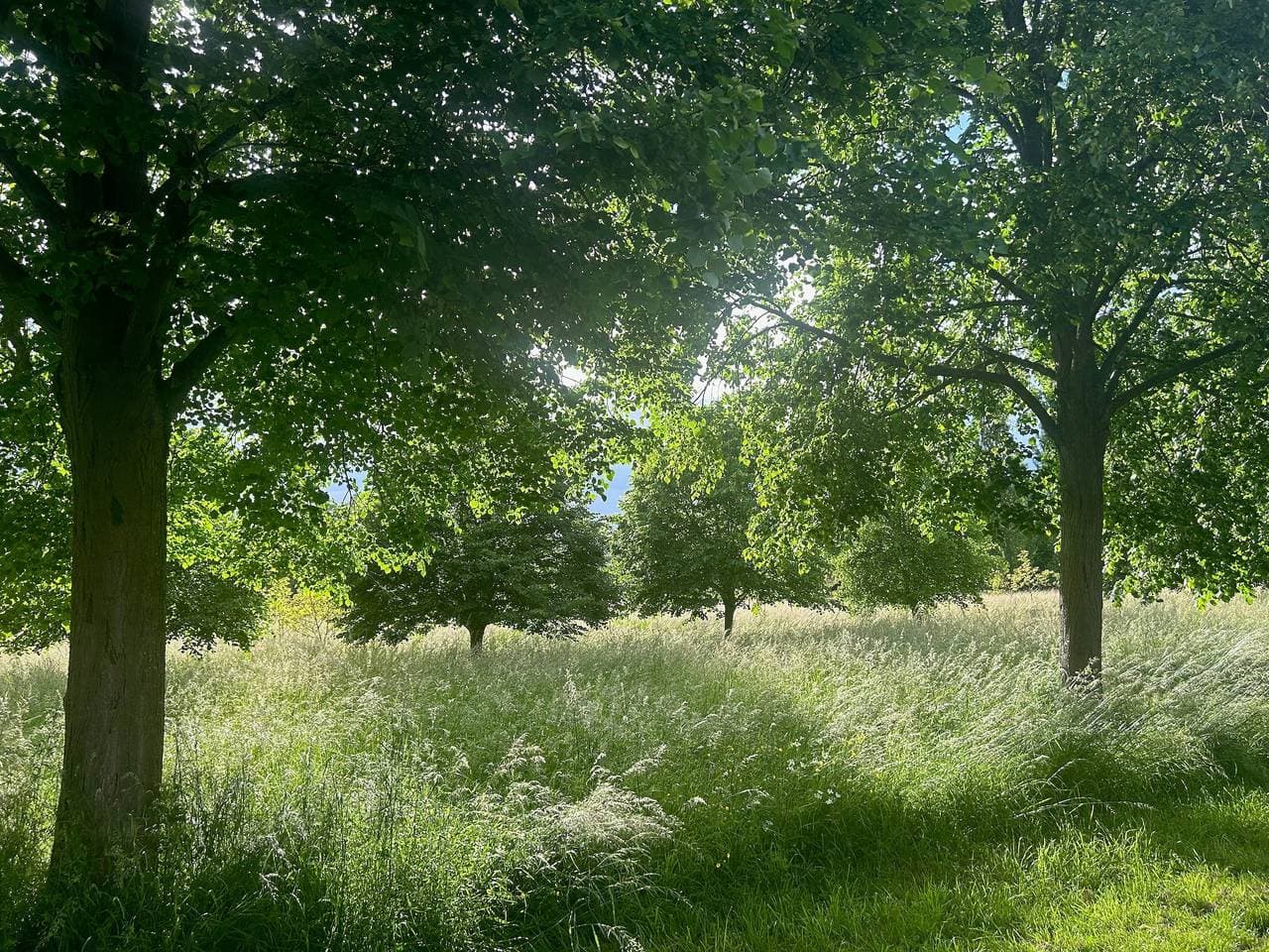 Foto 11 von 13: Landhaus 'La Forge Tranquille' mit privatem Garten und Wi-Fi