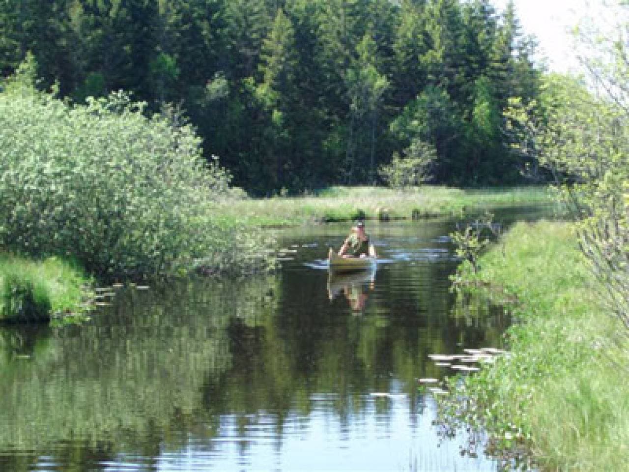 Foto 5 von 21: Schönes Angler-Ferienhaus in Südschweden