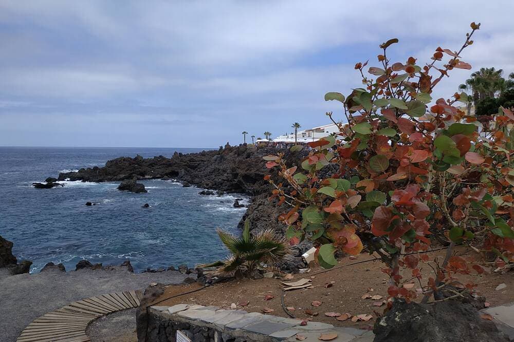 Foto 12 von 30: Sun vacations in Tenerife