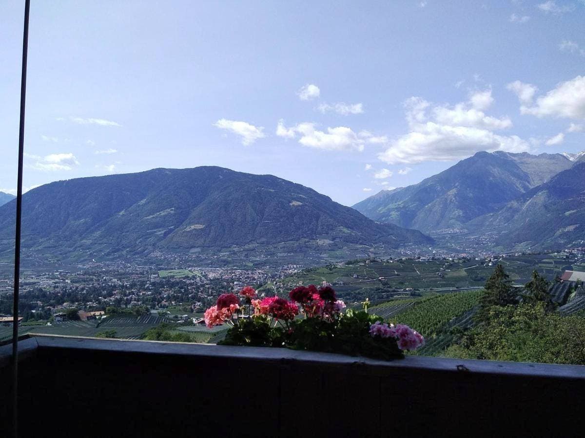 Foto 2 von 8: Double Room with Mountain View