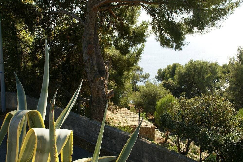 Foto 9 von 30: Ferienhaus in Carqueiranne am Meer