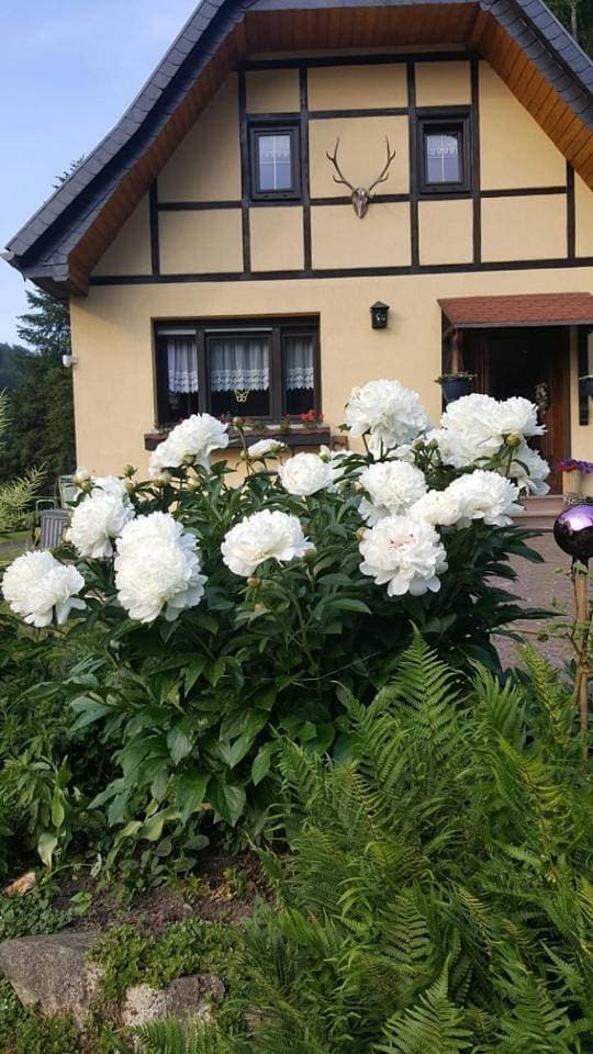 Foto 8 von 24: One-Bedroom House