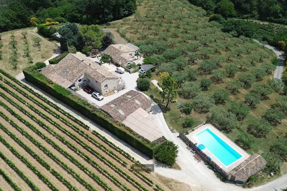 Foto 5 von 17: Large, relaxing gîte full of charm surrounded by olive trees - Pets welcome