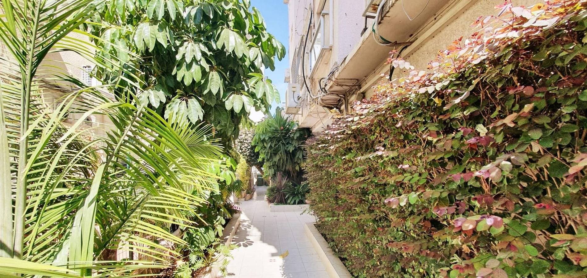Foto 7 von 31: Dizengoff Brique in Tel Aviv-Yafo