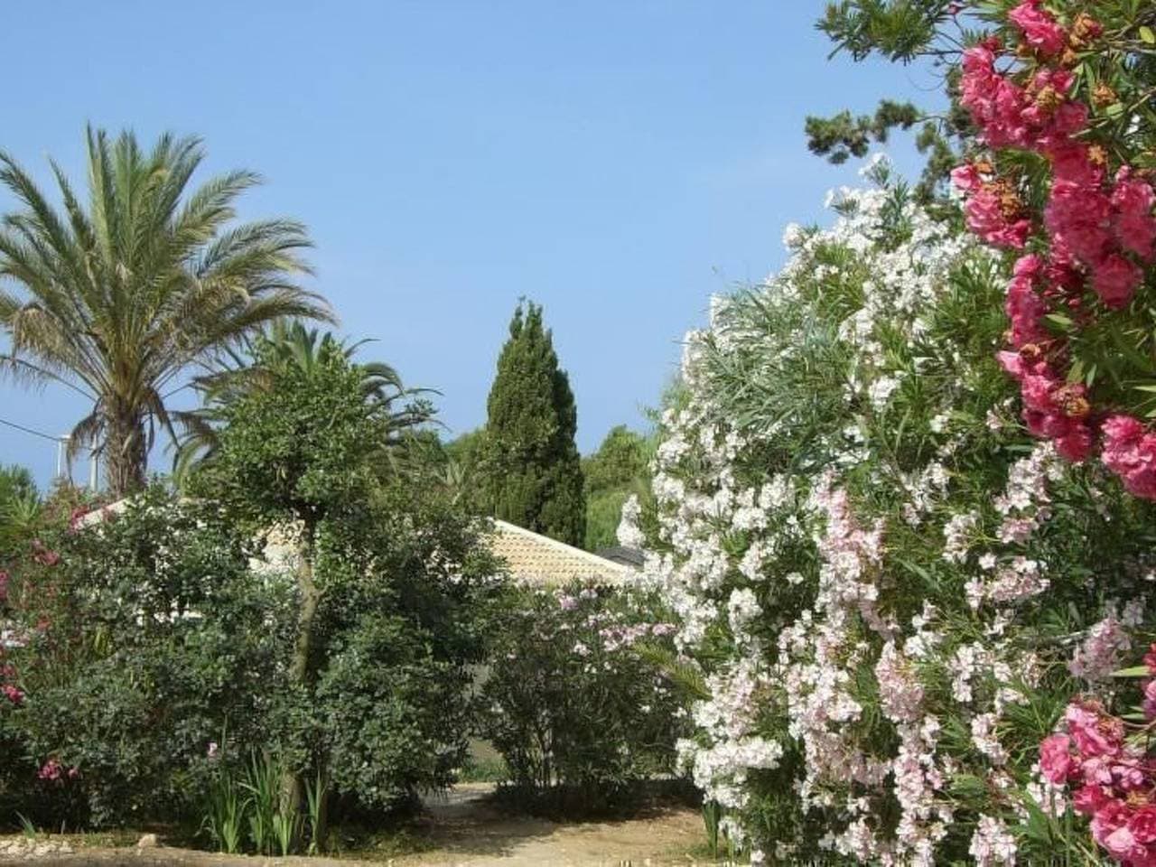 Foto 6 von 54: Schöner Bungalow direkt am Sandstrand auf Sizilien