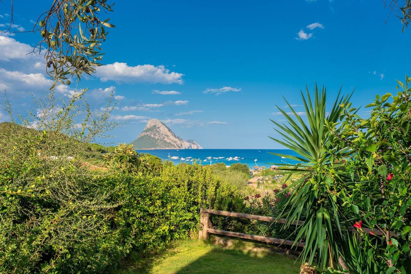 Foto 3 von 25: Landhaus Porto Taverna, 80 m vom Strand entfernt, mit privater Terrasse und Garten