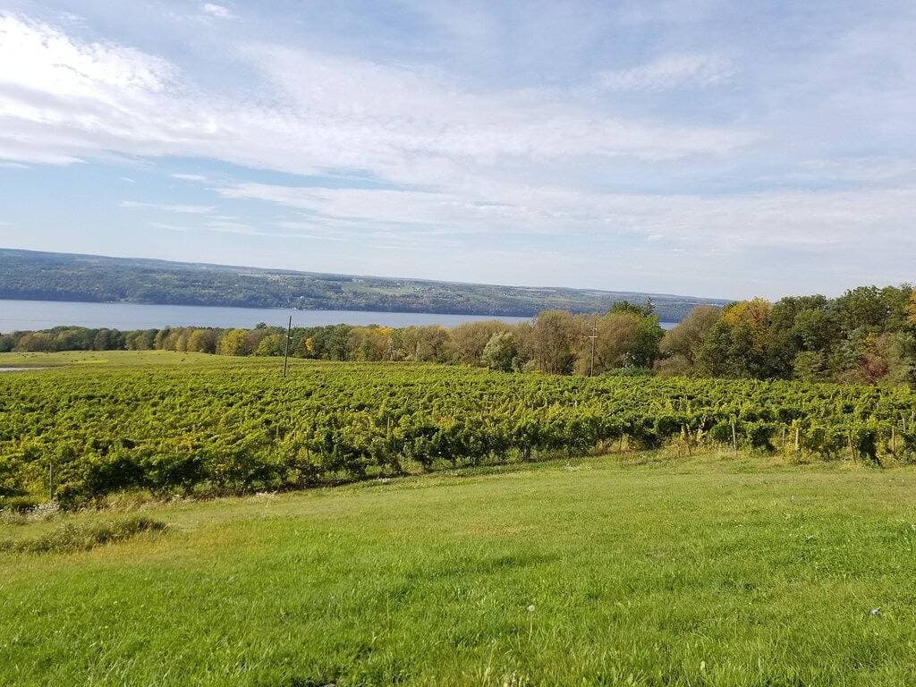 Foto 5 von 12: Herrliche Aussicht vom charmanten Hauptquartier im Herzen der Fingerseen