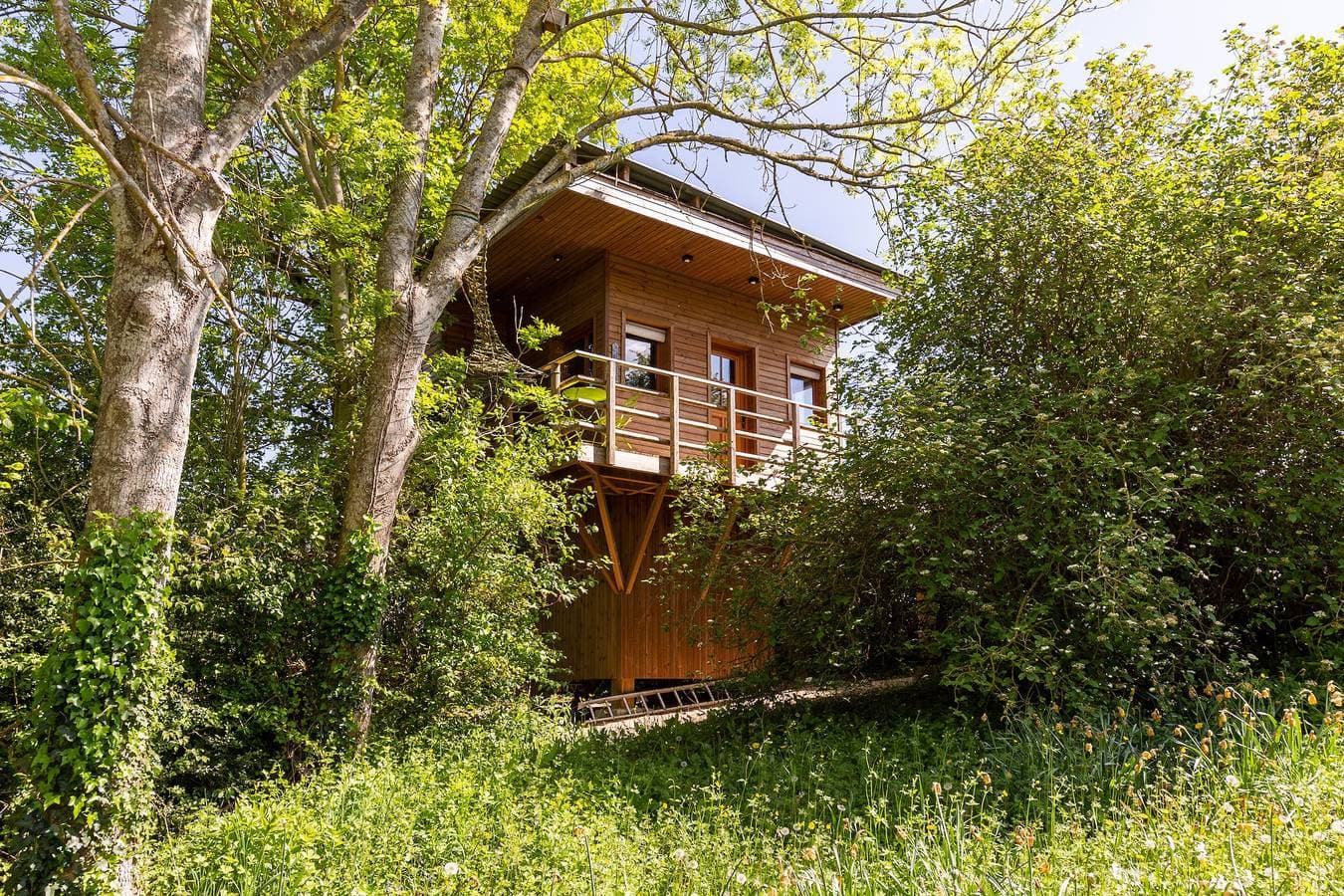La Cabane Perchée 1